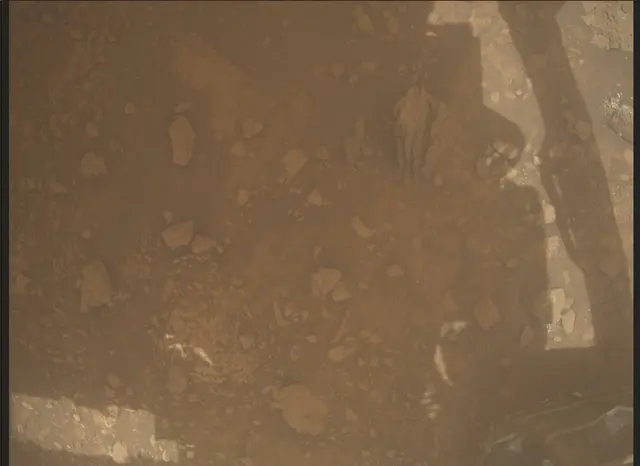 Sol 4314: Mars Descent Imager (MARDI)