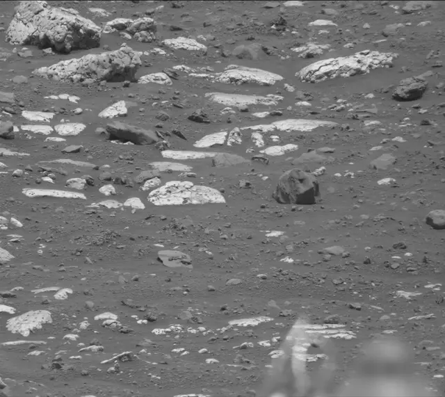 Sol 4316: Mast Camera (Mastcam)