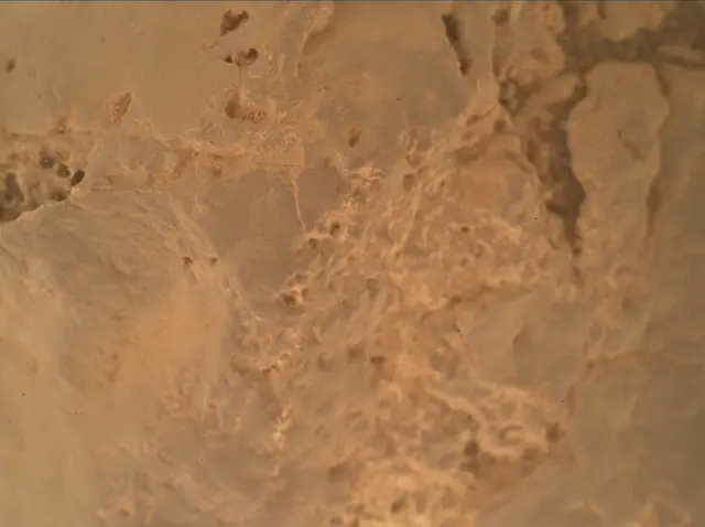 Sol 4318: Mars Hand Lens Imager (MAHLI)