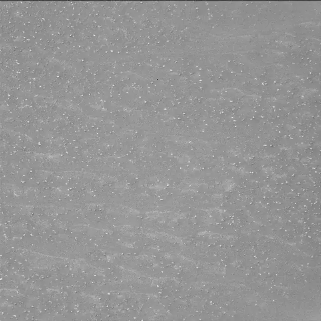Sol 4319: Mast Camera (Mastcam)