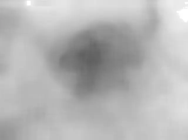Sol 4319: Mars Hand Lens Imager (MAHLI)