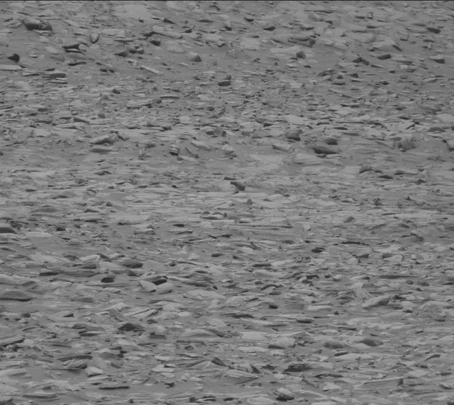 Sol 4325: Mast Camera (Mastcam)