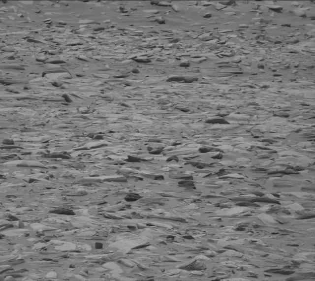 Sol 4325: Mast Camera (Mastcam)
