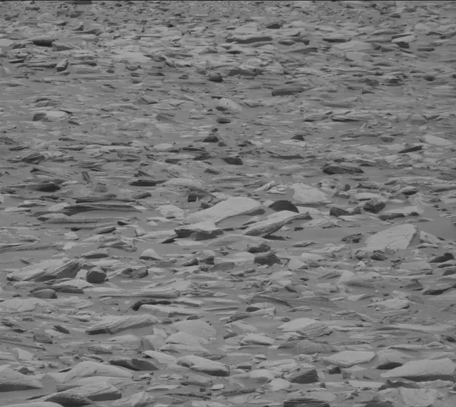 Sol 4325: Mast Camera (Mastcam)