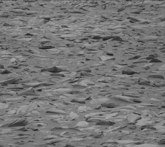 Sol 4325: Mast Camera (Mastcam)