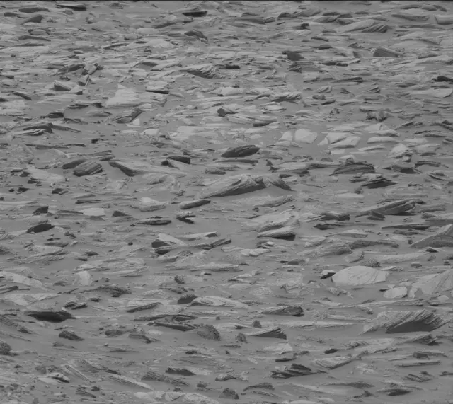Sol 4325: Mast Camera (Mastcam)