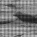 Sol 4325: Mast Camera (Mastcam)