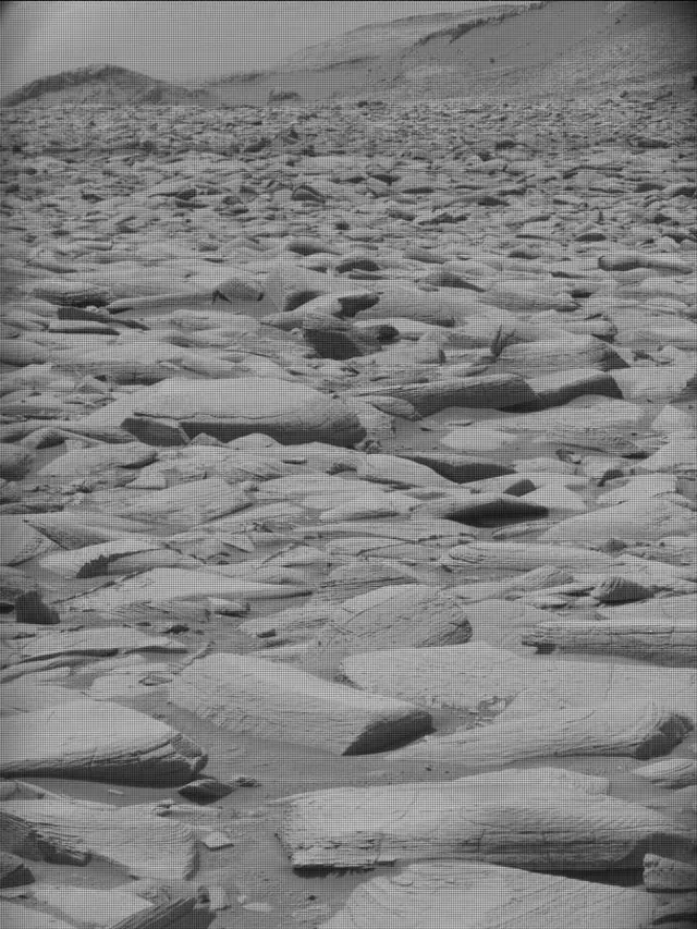Sol 4332: Mast Camera (Mastcam)