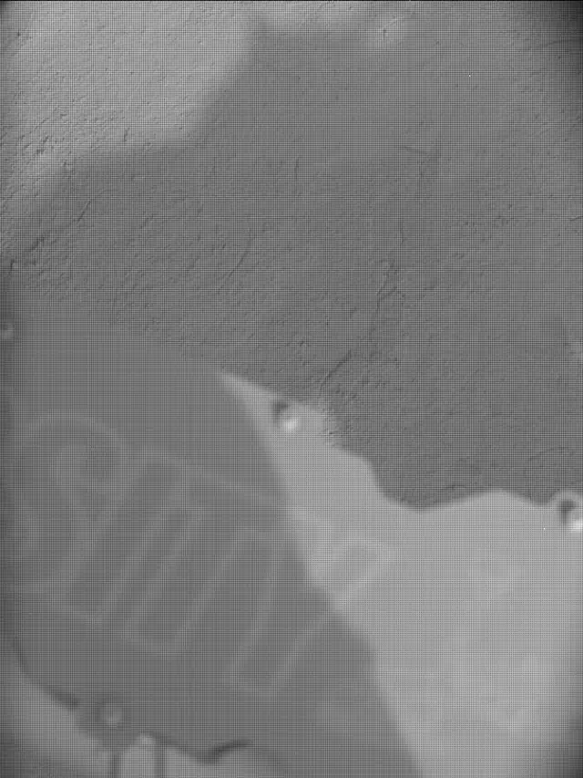 Sol 4336: Mast Camera (Mastcam)