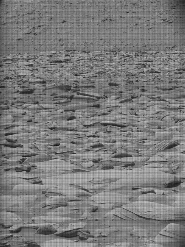 Sol 4339: Mast Camera (Mastcam)