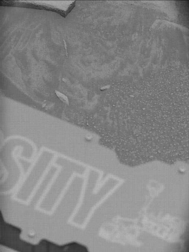 Sol 4342: Mast Camera (Mastcam)