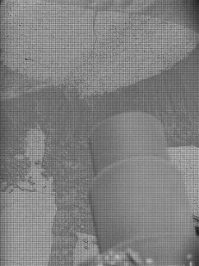Sol 4342: Mast Camera (Mastcam)