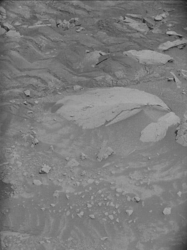 Sol 4346: Mast Camera (Mastcam)
