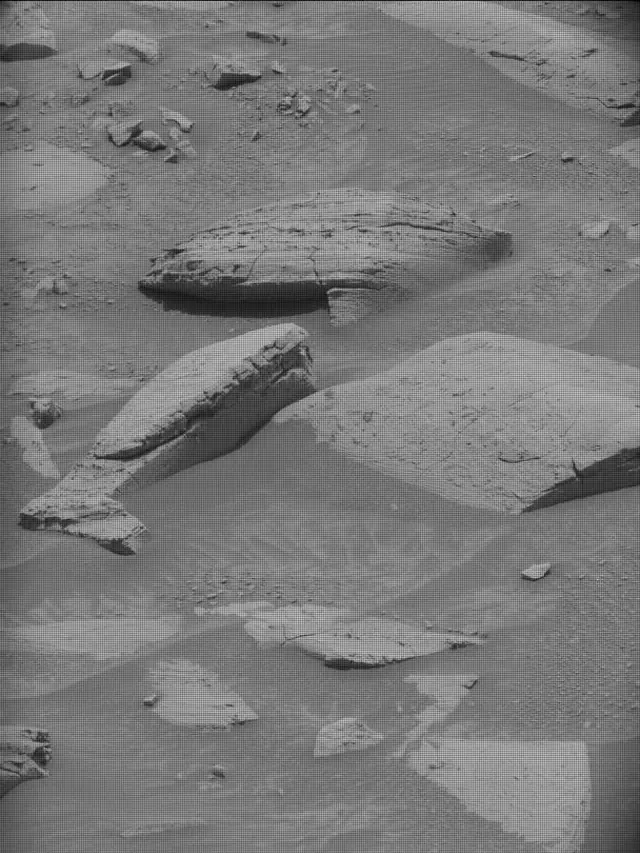 Sol 4352: Mast Camera (Mastcam)