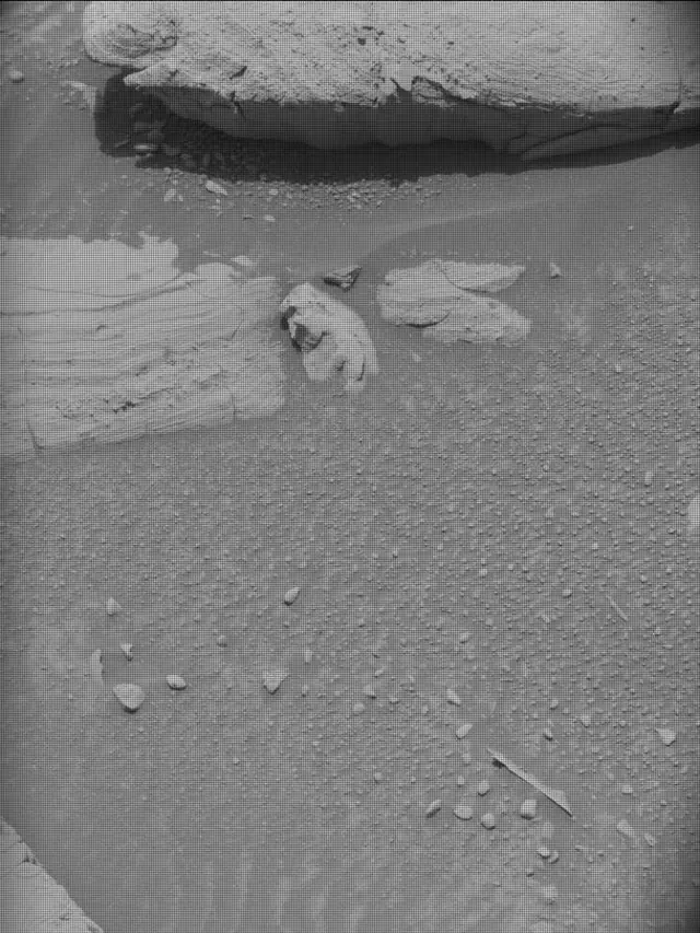 Sol 4352: Mast Camera (Mastcam)