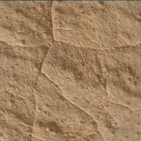 Sol 4352: Mars Hand Lens Imager (MAHLI)