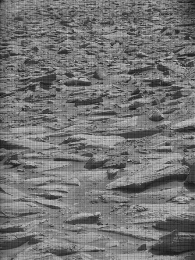 Sol 4355: Mast Camera (Mastcam)