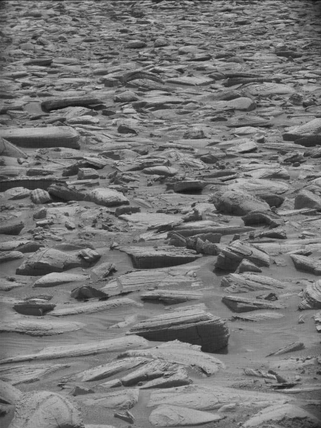 Sol 4355: Mast Camera (Mastcam)