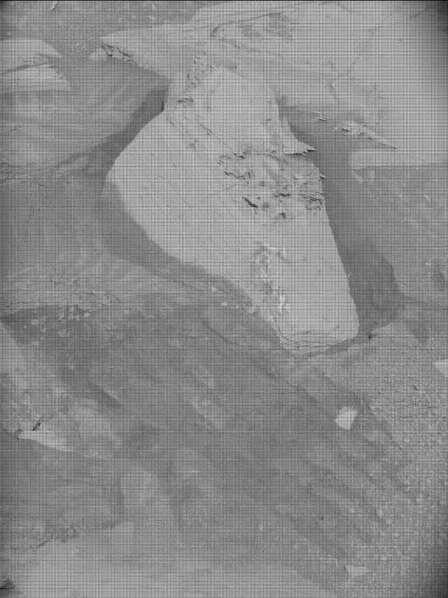 Sol 4355: Mast Camera (Mastcam)