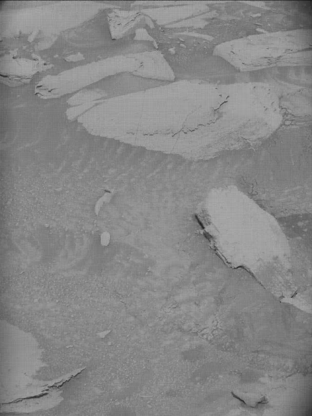 Sol 4355: Mast Camera (Mastcam)