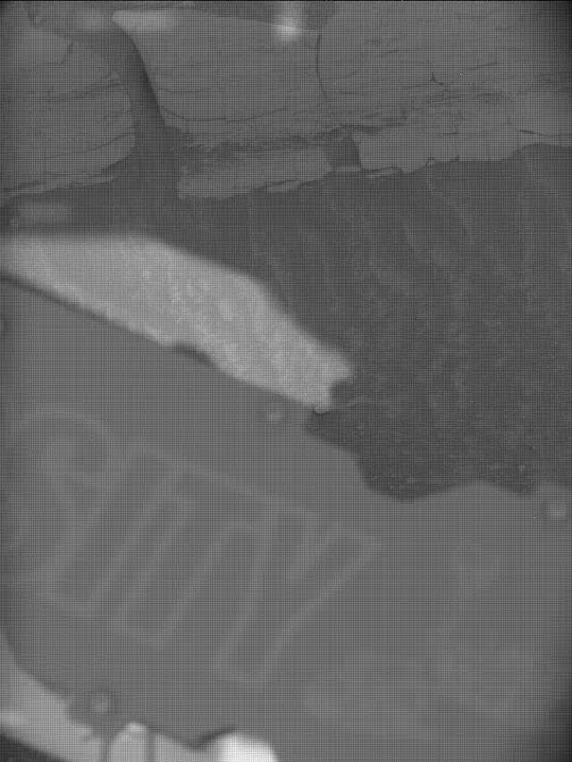 Sol 4355: Mast Camera (Mastcam)