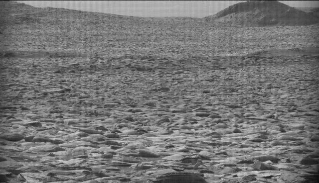 Sol 4359: Mast Camera (Mastcam)