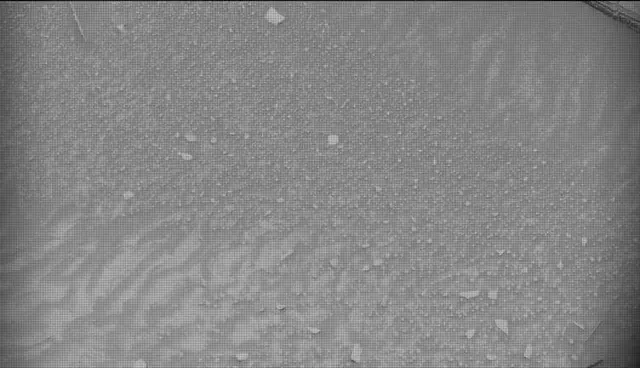 Sol 4360: Mast Camera (Mastcam)