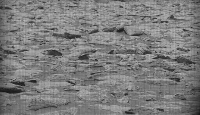 Sol 4362: Mast Camera (Mastcam)