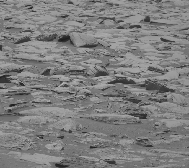 Sol 4362: Mast Camera (Mastcam)