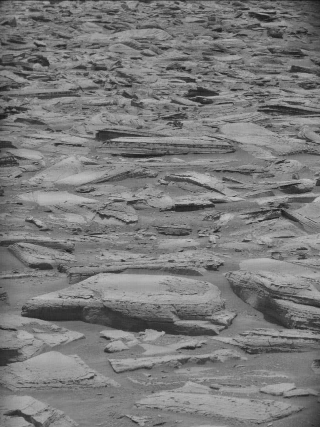 Sol 4369: Mast Camera (Mastcam)