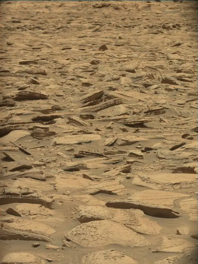 Sol 4371: Mast Camera (Mastcam)