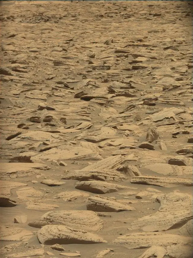 Sol 4371: Mast Camera (Mastcam)