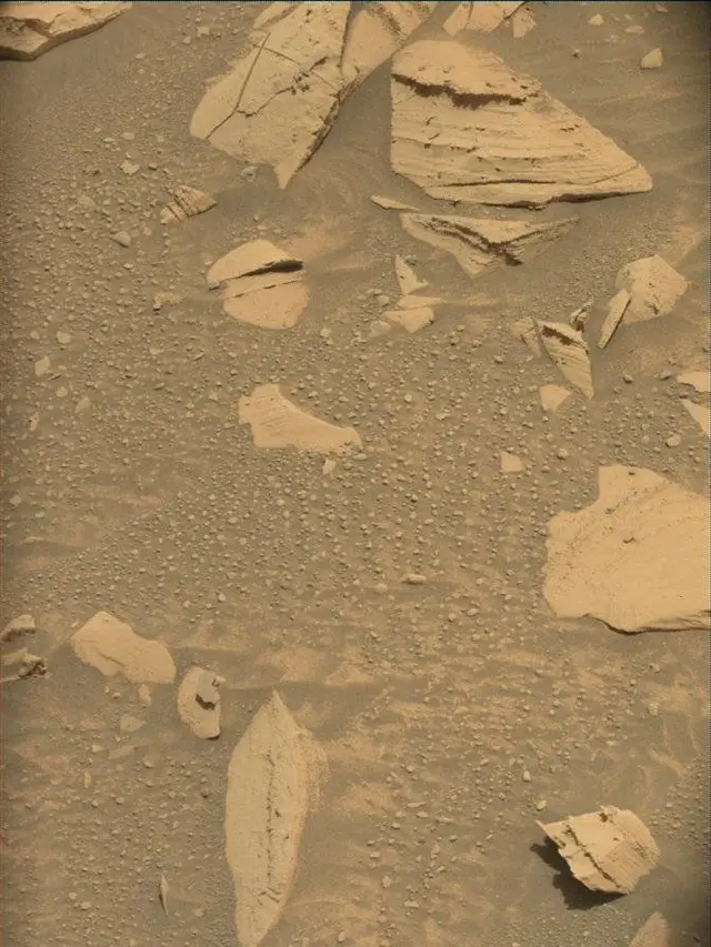 Sol 4371: Mast Camera (Mastcam)
