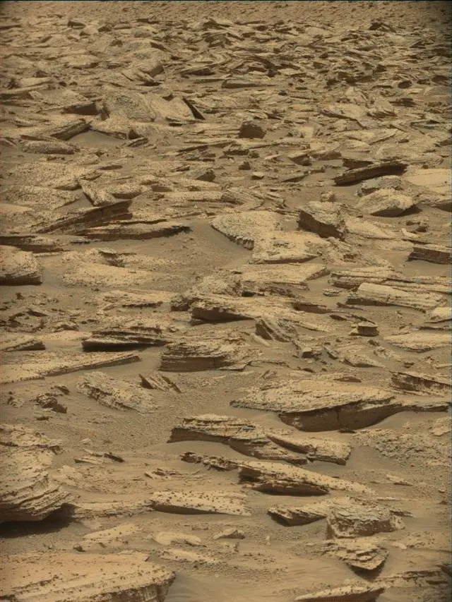 Sol 4374: Mast Camera (Mastcam)