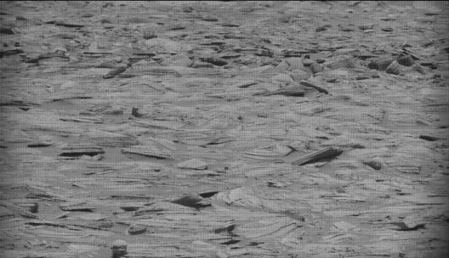 Sol 4375: Mast Camera (Mastcam)