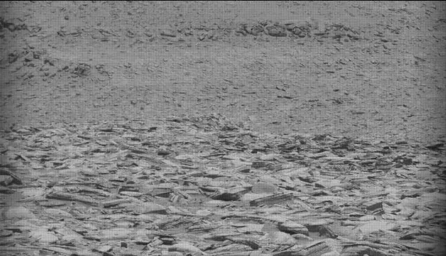 Sol 4375: Mast Camera (Mastcam)