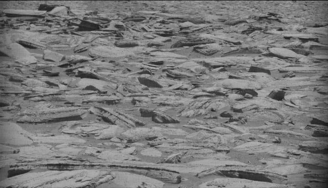 Sol 4375: Mast Camera (Mastcam)