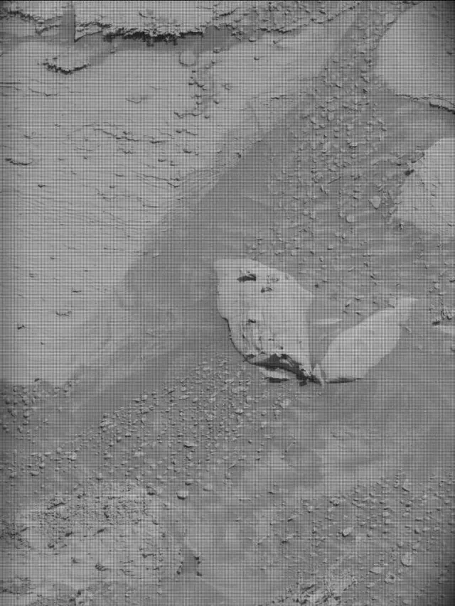 Sol 4380: Mast Camera (Mastcam)
