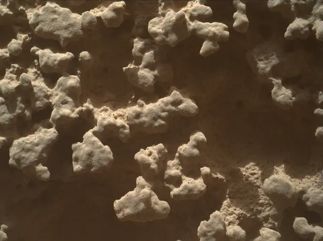 Sol 4382: Mars Hand Lens Imager (MAHLI)