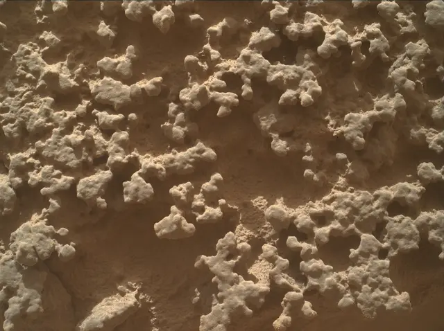 Sol 4382: Mars Hand Lens Imager (MAHLI)
