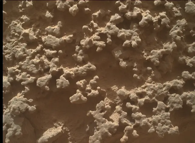 Sol 4382: Mars Hand Lens Imager (MAHLI)