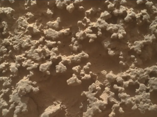 Sol 4382: Mars Hand Lens Imager (MAHLI)