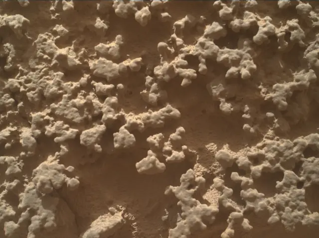 Sol 4382: Mars Hand Lens Imager (MAHLI)