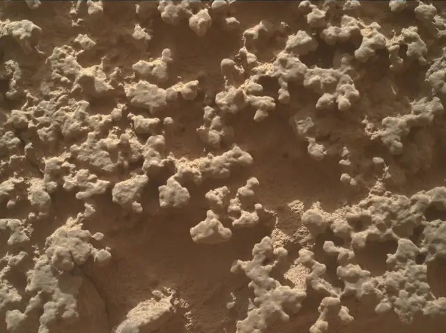 Sol 4382: Mars Hand Lens Imager (MAHLI)
