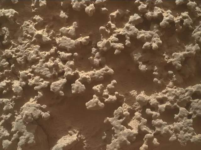 Sol 4382: Mars Hand Lens Imager (MAHLI)