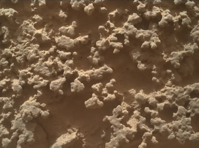Sol 4382: Mars Hand Lens Imager (MAHLI)