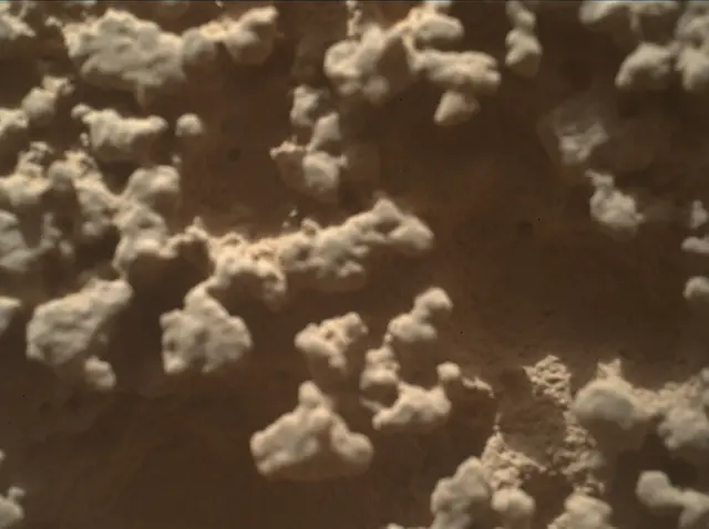 Sol 4382: Mars Hand Lens Imager (MAHLI)