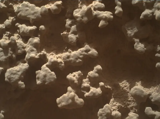Sol 4382: Mars Hand Lens Imager (MAHLI)