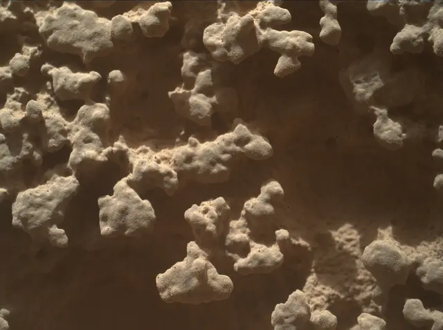 Sol 4382: Mars Hand Lens Imager (MAHLI)