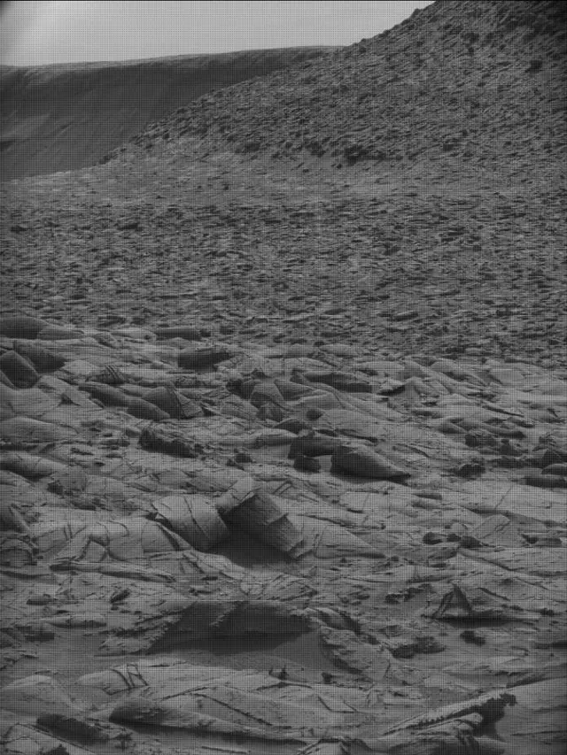 Sol 4384: Mast Camera (Mastcam)